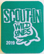 Scout-In badge 2019